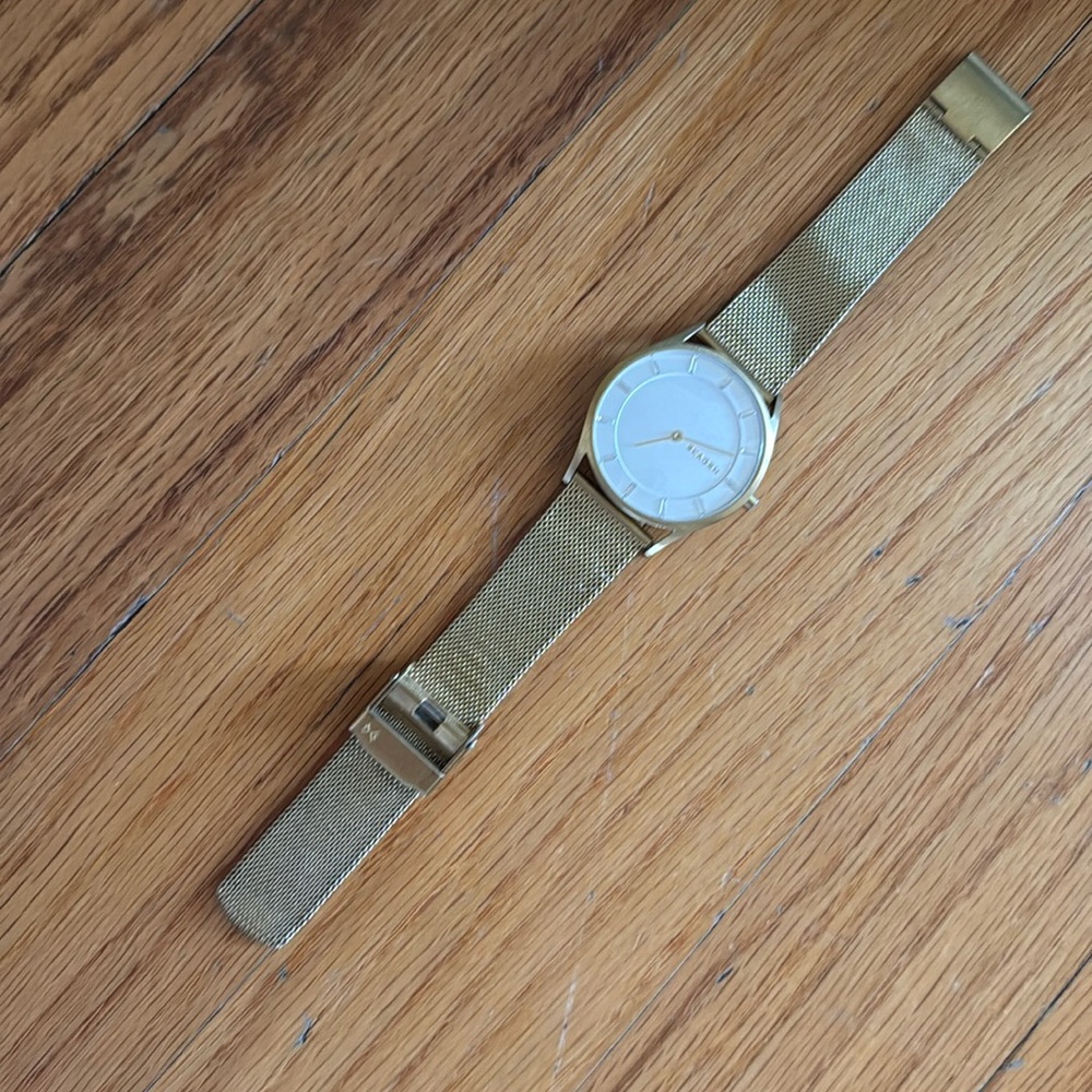 Skagen watch